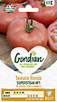 GONDIAN - Graines de tomate - Supersteak HF1 - très gros fruits - vignette