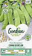 GONDIAN - Pois Corne de Bélier Gondian - vignette