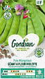 GONDIAN - Graine de Pois Géant à Fleur Violette - Violet - 2m - vignette