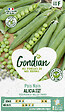 GONDIAN - Pois Alicia Gondian - vignette