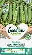 GONDIAN - Graines de Pois à écosser Douce Provence - Nain - 40cm - vignette