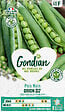 GONDIAN - Pois Orion Gondian - vignette
