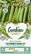 GONDIAN - Pois Téléphone à Rames Gondian - Variété tardive - vignette