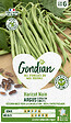GONDIAN - Haricot nain - Argus - Graine de légumes - 50cm - vignette