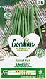 GONDIAN - Haricot nain mangetout Cigal Gondian - Précoce - vignette