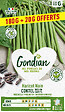 GONDIAN - Haricot Coktel Gondian - vignette