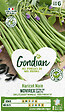 GONDIAN - Haricot Novirex Gondian - vignette