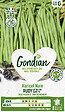 GONDIAN - Haricot Rudy Gondian - vignette