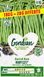 GONDIAN - Haricot Rudy Gondian - 740 graines - Très précoce - vignette