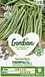 GONDIAN - Haricot Triomphal Gondian - vignette