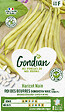 GONDIAN - Haricot Roi des Beurres Kinghorn Wax Gondian - vignette