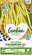 GONDIAN - Haricot de Rocquencourt Gondian - vignette