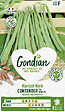 GONDIAN - Haricot nain mangetout Contender - 250 g - vignette
