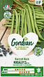 GONDIAN - Haricot nain mangetout Rugally Gondian - Graines - vignette