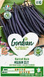GONDIAN - Haricot Velour Gondian - vignette