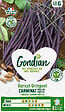GONDIAN - Graine de haricot grimpant Carminat - Variété précoce - vignette