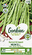 GONDIAN - Graines de haricot Helda - Mangetout grimpant - 180 g - vignette