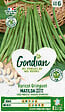 GONDIAN - Haricot Matilda Gondian - vignette