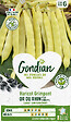 GONDIAN - Graines de haricot Merveille de Venise - 250g - vignette