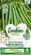 GONDIAN - Haricot à rames Perfection Blanc - 180 g - vignette