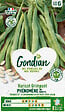 GONDIAN - Haricot Phénomène Gondian - vignette