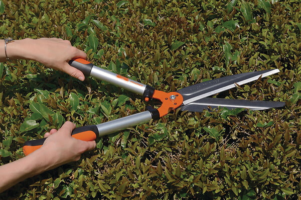 BAHCO - Cisaille à haies de précision - Lames acier trempé - 540mm - large