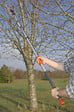 BAHCO - Echenilloir de 30 mm avec corde - vignette