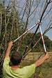 BAHCO - Ébrancheur télescopique aluminium PG-19-F - 40mm - vignette