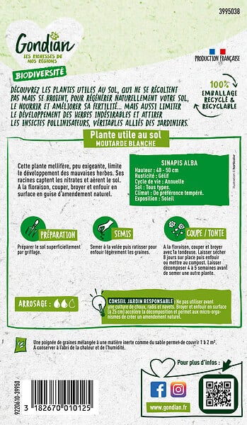 GONDIAN - Plantes utiles au sol - Moutarde Blanche Gondian - large
