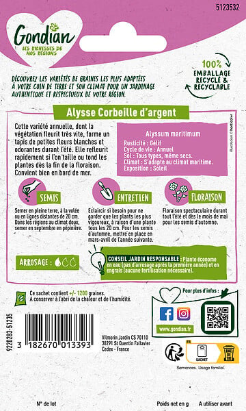 GONDIAN - Graines de fleurs - Alysse Corbeille d'Argent - Blanc - 1g - large