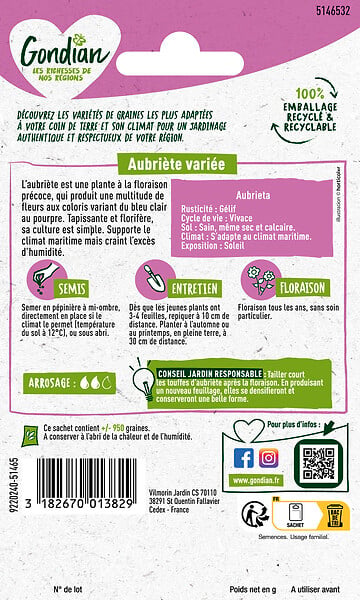 GONDIAN - Plante tapissante Aubriétia Hybride - Floraison précoce - large
