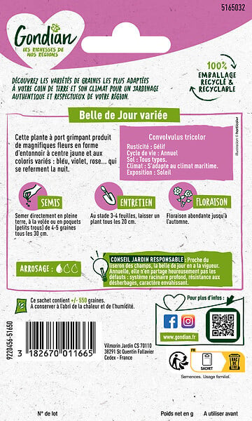 GONDIAN - Graines de fleurs Belle de jour - Multicouleur - 4g - large