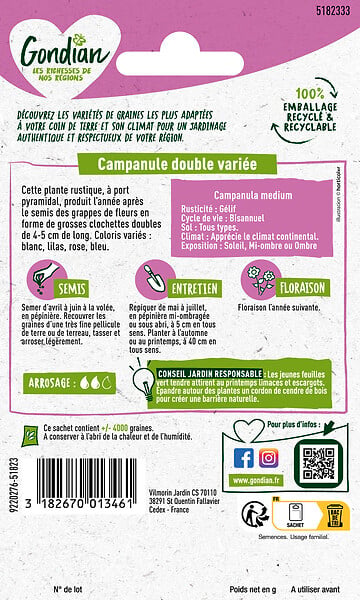 GONDIAN - Graines Campanule Double Variée - large