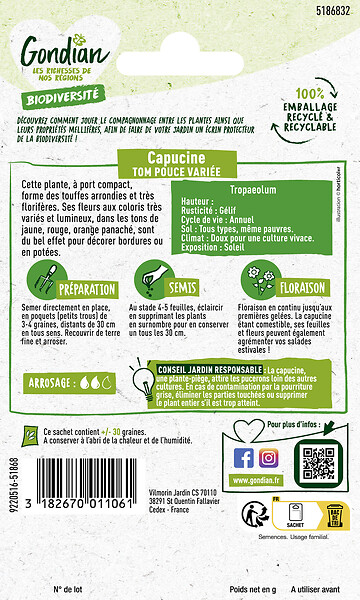 GONDIAN - Capucine Tom Pouce Variée Gondian - large