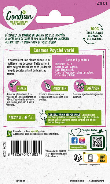 GONDIAN - Graines Cosmos Psychée - Multicouleur - Hauteur 100cm - large