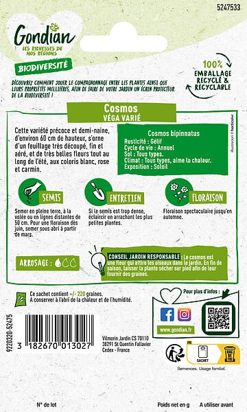 GONDIAN - Graines de Cosmos Vega Varié - Hauteur 60cm - large