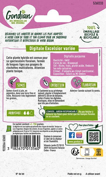 GONDIAN - Digitale Excelsior Variée - Graines bisannuelles - 120cm - large