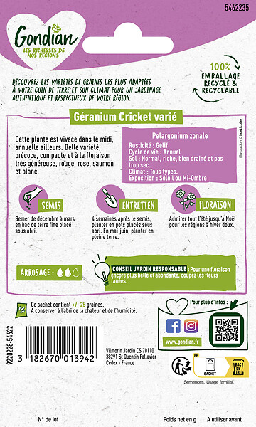 GONDIAN - Géranium Cricket Varié HF2 Gondian - large