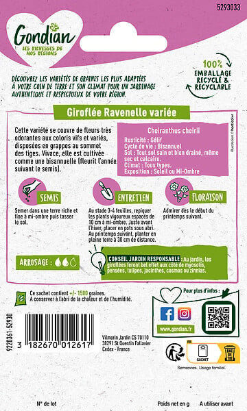 GONDIAN - Giroflée Simple Variée - Graines - Variée - 50cm - large