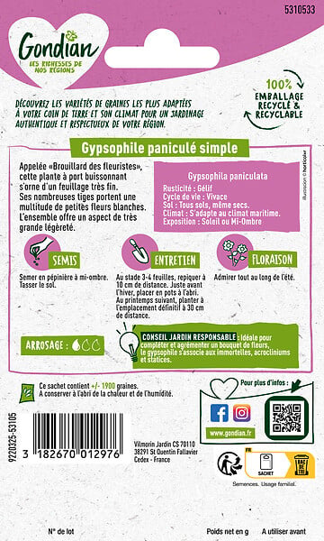 GONDIAN - Gypsophile Paniculé - Buissonnant - Fleurs Blanches 80cm - large