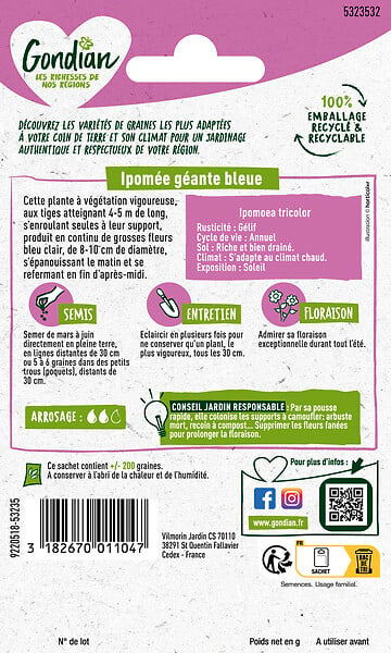 GONDIAN - Ipomée Bleu Azur Gondian - large