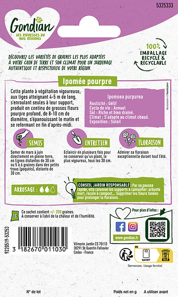 GONDIAN - Ipomée Volubilis Pourpre Gondian - large
