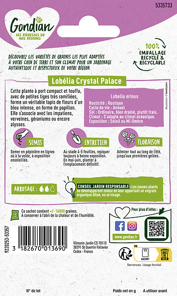 GONDIAN - Lobélia Crystal Palace Gondian - large