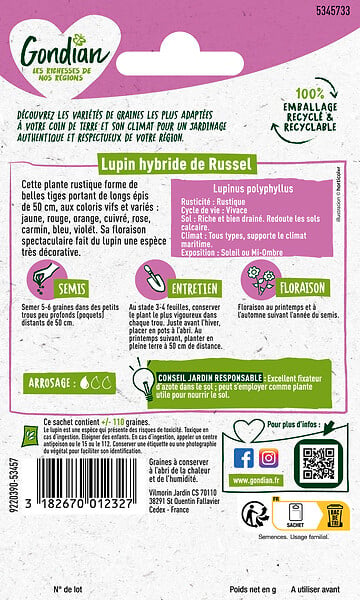 GONDIAN - Lupin Hybride de Russell Vivace - Multicolore - 1,5m - large