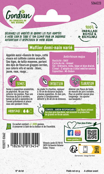GONDIAN - Muflier demi-nain varié - Godet 0.5L - Mélange de couleurs - large