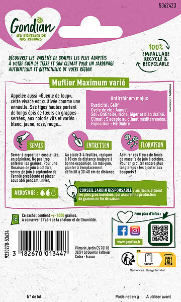 GONDIAN - Graines Muflier Maximum Varié - Mélange coloris vifs - 90cm - large