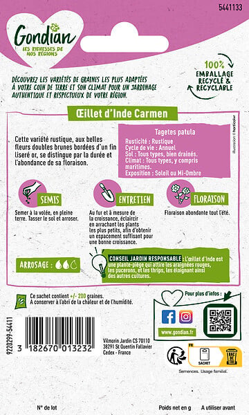 GONDIAN - Graines Oeillet d'Inde Bonita Carmen - Marron bordé d'or - large