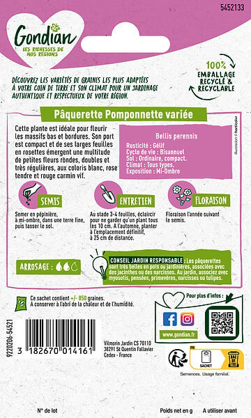 GONDIAN - Graines de pâquerette Superpomponnette - Bisannuelle - 15cm - large