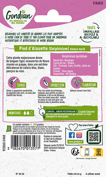 GONDIAN - Pied d'Alouette Vivace Varié Gondian - large