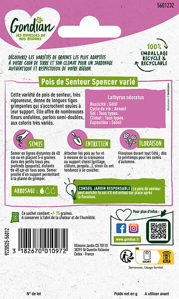 GONDIAN - Pois de senteur grimpant Spencer Varié - Multicouleur - 5 g - large